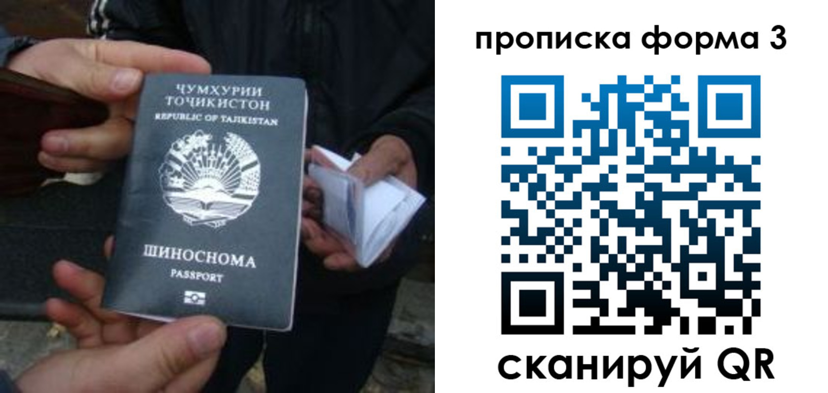 прописка 2025 в Ворсме